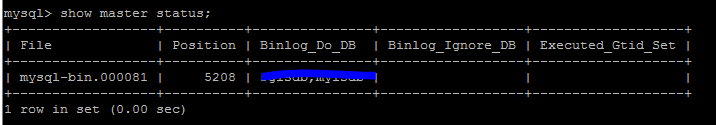 Replicate MySQL Database-Checking the Master DB status.